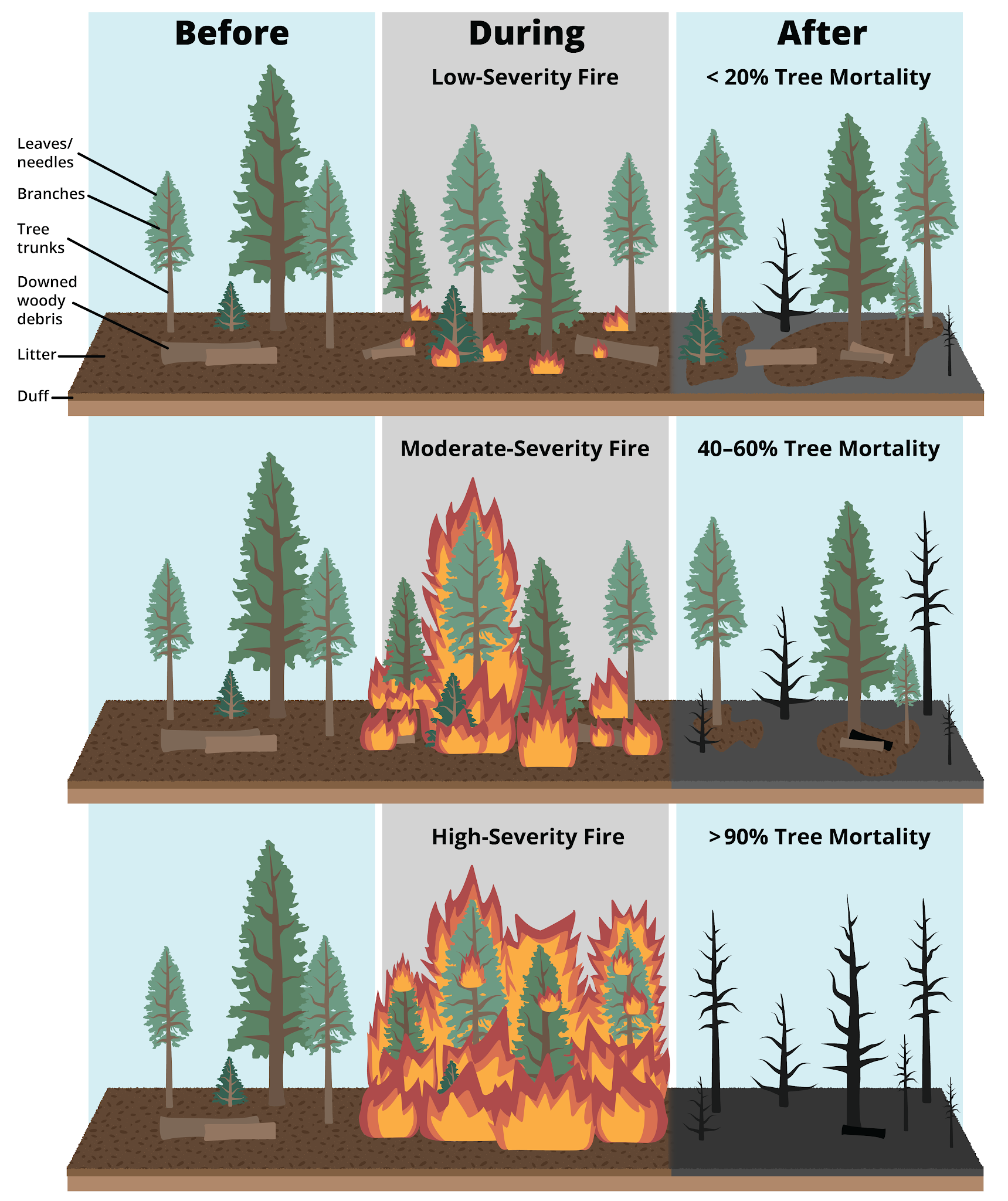 Diagram of the Three Fire Severity Levels