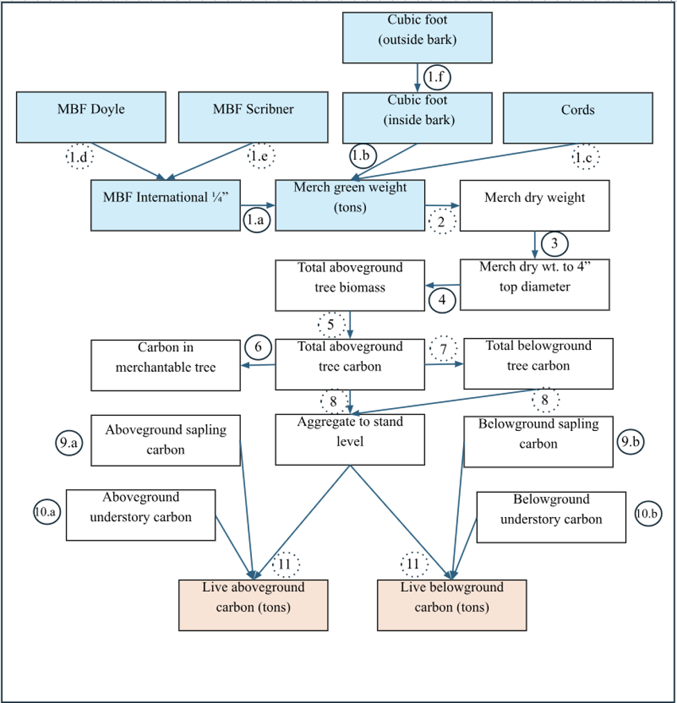 Processing flow for stand detail data.
